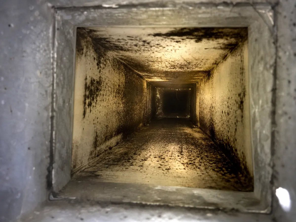 Air Duct Mold Removal in Houston, TX